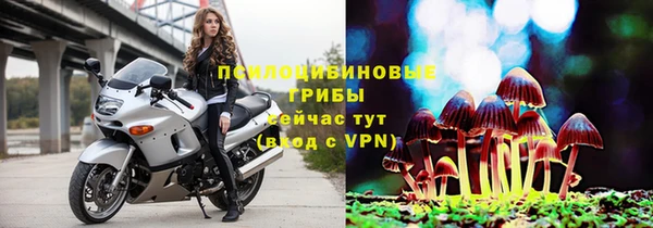 прущая мука Ладушкин